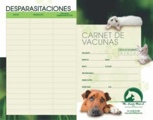 ejemplo de carnet de vacunación